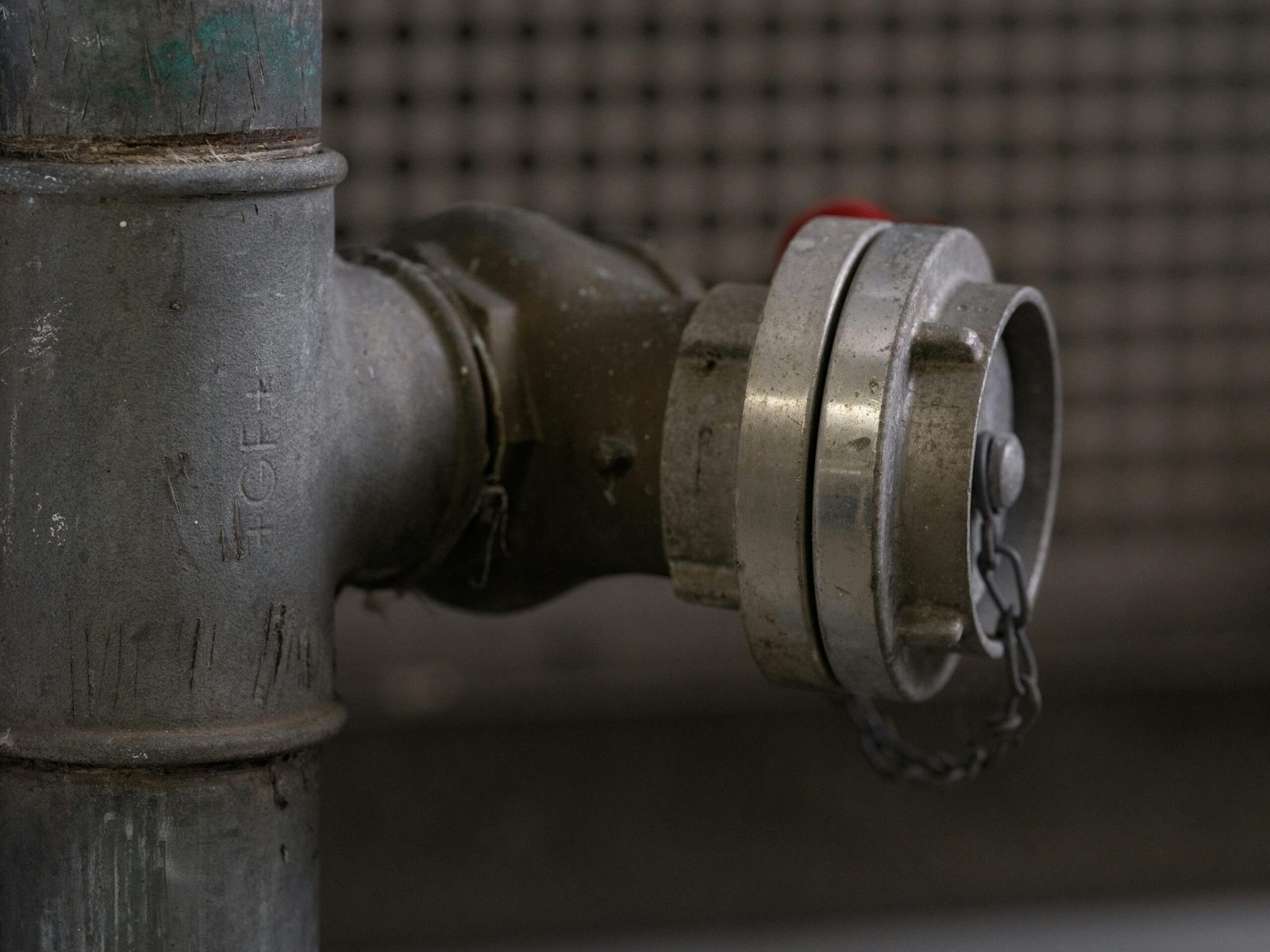 Inicio pexels haberdoedas 33863759